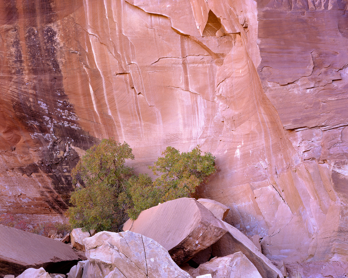 Middle Earth Canyon
